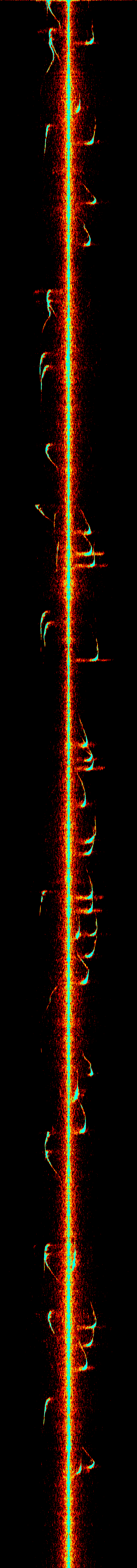 Radar Network Project Image 3
