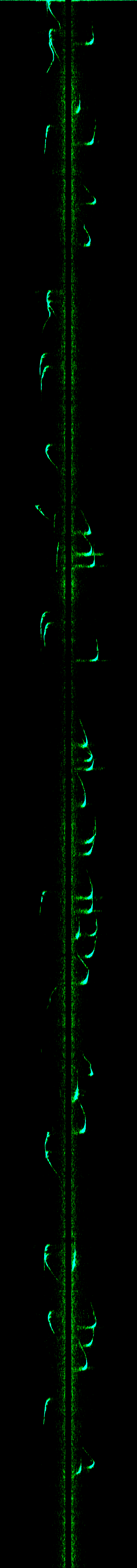 Radar Network Project Image 4